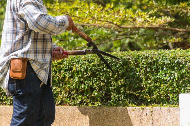 Garden Maintenance South Stifford, West Thurrock, RM20