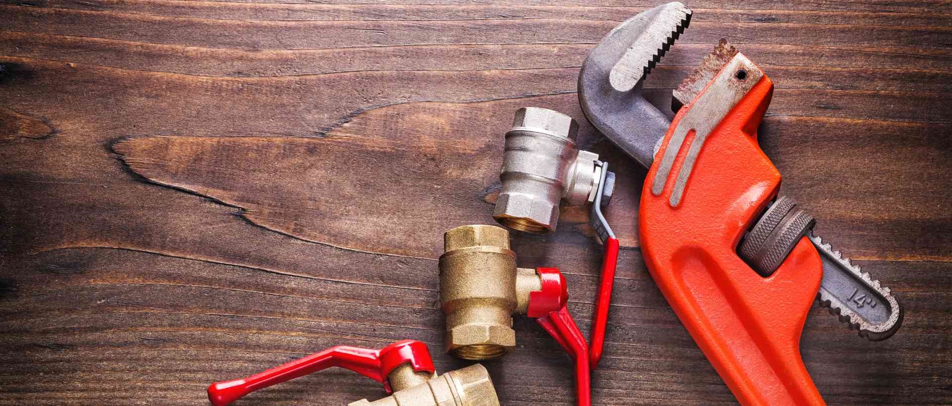 Plumbers RM20